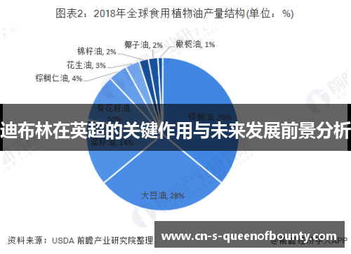 迪布林在英超的关键作用与未来发展前景分析