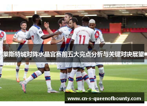 莱斯特城对阵水晶宫赛前五大亮点分析与关键对决展望