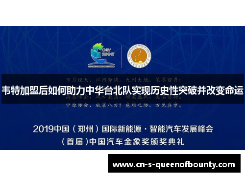 韦特加盟后如何助力中华台北队实现历史性突破并改变命运